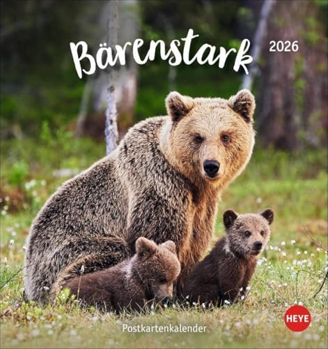 Bärenstark Postkartenkalender 2026: Knuffige Bärenfotos in einem kleinen Kalender zum Aufstellen und Aufhängen. Der knuddelige Tierkalender im Format 16 x 17 cm (Postkartenkalender Heye)