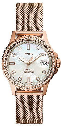 Fossil