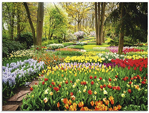 ARTland Wanddeko Glasbilder Wandbild Glas Bild einteilig 80x60 cm Querformat Blumenwiese Tulpen Blumen Frühling Natur Garten Wald Bunt U1RC