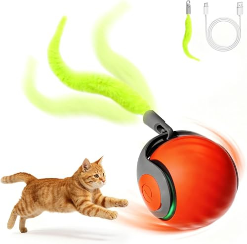 Jouet Chat Interactif, Balle Automatique avec Queue en Plumes, Jouet pour Chat Contre l’Ennui, Recharge USB, Stimule l’Instinct de Chasse des Chats d’Intérieur