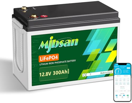 Mjbsan LiFePO4 - Batería de litio de 12 V y 300 Ah, 4019 Wh, batería Bluetooth de 200 Ah, BMS con protección de baja temperatura, máx. 15.000 ciclos de carga durante 10 años, ideal para autocaravanas