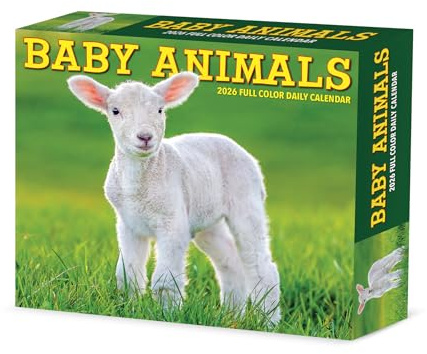 Baby Animals 2026 Box Calendar