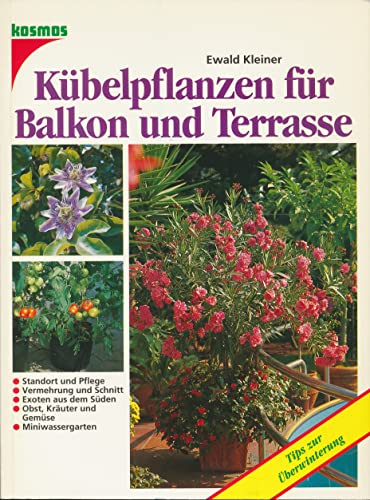 Kübelpflanzen für Balkon und Terrasse