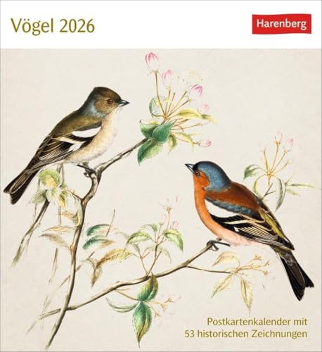 Vögel Postkartenkalender 2026 - Postkartenkalender mit 53 historischen Zeichnungen: Tischkalender mit Retro-Illustrationen. Schönes Geschenk für Kunst- und Naturliebhaber. 16 x 17,5 cm