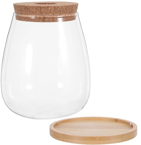 Abaodam Vase Hydroponique en Verre avec Bouchon en Liège pour Propagation de Plantes, Visibilité des Racines et Rétention d'eau, Lot de 2 Sets de Sets pour Boutures et Orchidées