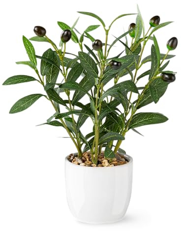 PASCH® Künstlicher Olivenbaum (34cm) in weißem Keramiktopf: Kunstpflanzen wie echt | Künstliche Pflanzen im Topf | Fake Plant: Olive Tree | Olivenbaum künstlich klein | Kunstblumen im Topf
