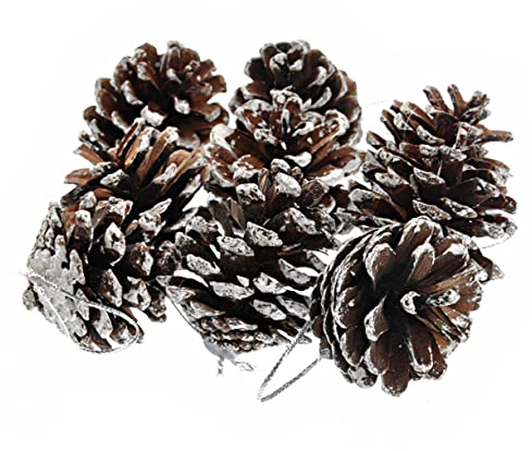 Cabilock 9stücke Tannenzapfen Deko Weihnachten Set Pinienzapfen Silber Natur für Tischdeko Christbaumdeko