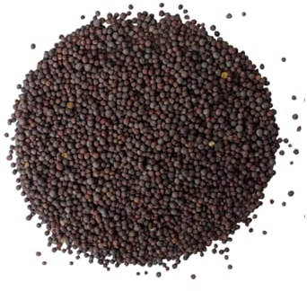 Graines de moutarde entières marron noir 100 % naturel HerbsnSpiceit (400 g)