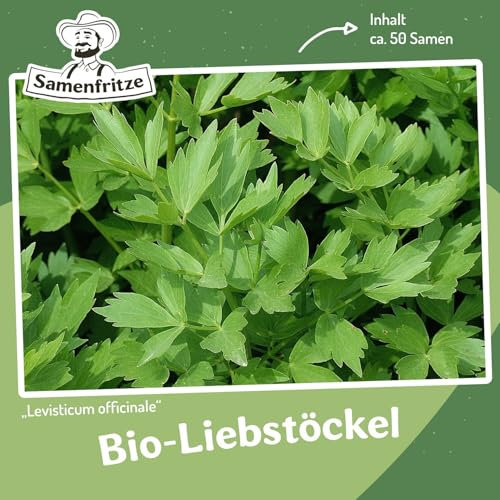 MHD 06/26 Bio-Liebstöckel, Maggikraut Samen, Levisticum officinale