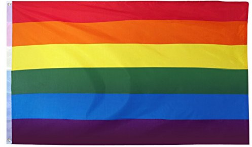 TRIXES Drapeau Arc-en-ciel Pride 5 x 3 pieds, accessoire LGBTQIA2S+ | Drapeau en polyester résistant pour le Mois des Fiertés, festivals, fêtes de jardin, intérieur ou extérieur