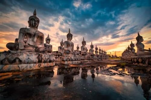 Acryl-Bild 50 x 30 cm: Viele Buddha-Statuenbilder bei Sonnenuntergang im Süden Thailands (158299404)