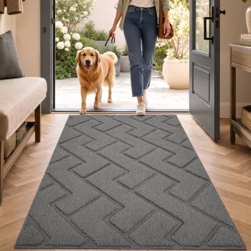 Biscpro Fußmatte Grau 80x120cm Innen und Außen, Waschbar Fussmatte, Wasserdicht Türmatte, Rutschfester Schmutzfänger Teppich für Eingang, Haustür, Patio, Flur, Garten