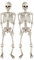 Decoración Halloween Esqueletos Decoración Realista Posable Halloween Esqueleto para Interior y Exterior, Accesorios para Fiestas de Halloween -2pcs-