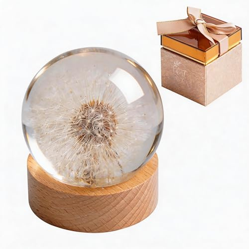 Pusteblumen-Briefbeschwerer mit echter Pusteblume aus Harz, Wunscherfüller | Geschenk mit Grußkarte und Verpackung, stilvolle Deko für Zuhause und Büro, ideal für Geburtstag, Hochzeit und Abschluss