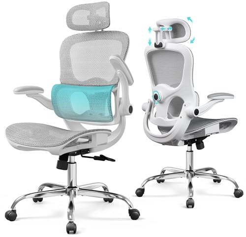 DEVAISE Bürostuhl Ergonomisch: Schreibtischstuhl mit Segmentierter Rückenlehne, Verstellbarer Kopfstütze und Lendenwirbelstütze, 4D-Armlehnen, Wippfunktion, Hohe Lehne, für Büro, bis 180kg, Grau