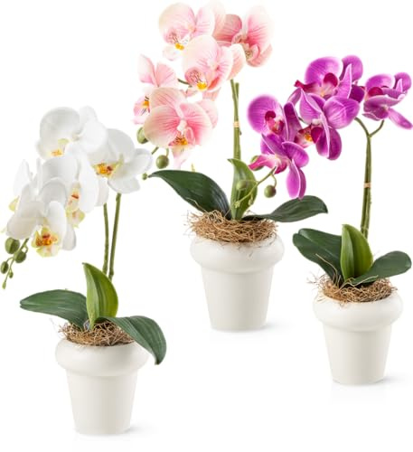 PASCH® Orchideen künstlich in Hochglanz-Keramiktöpfen (36cm) | Kunstblumen im Topf | Kunstblumen wie echt | künstliche Orchideen im Topf (3er Set)
