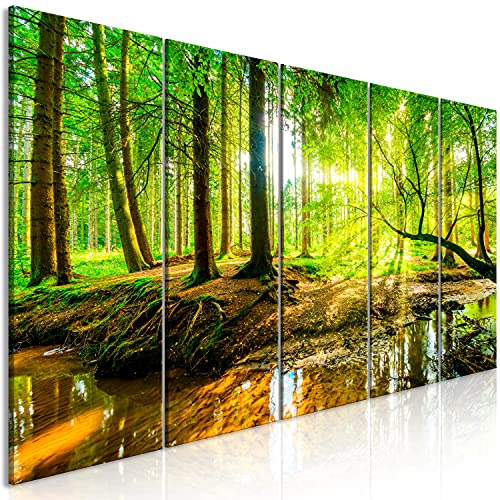 B&D XXL - Akustikbild Wald 225x90 cm 5 tlg Bilder Akustikschaum Schallschutz Kunst Akustikpaneele Wandpaneele Schalldämmung Wandbild Schallabsorber Akustikplatten Landschaft Natur c-B-0241-b-m
