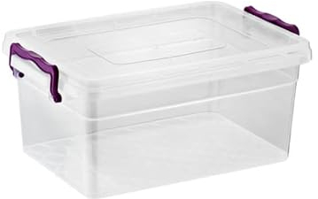 Best House | 2 PCS Plastic Storage Box with Lids | 1.25 Litres | SMALL Size | Clear Storage Containers Use for Haberdasery and Bits N Pcs (1.25 Litres)