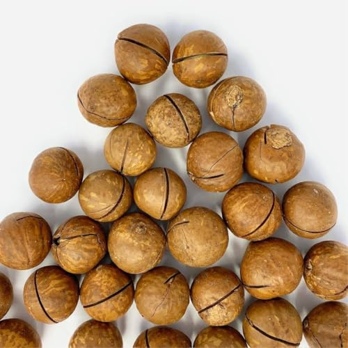 Il Contadino - Antichi Sapori | NOCI DI MACADAMIA | Confezione Salva Freschezza, Frutta Secca di Qualità Premium, No Conservanti, Al Naturale (1 Kg)