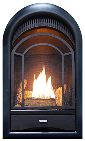 ProCom Dual Fuel Ventless Gas Fireplace Insert with Thermostat Control, 4 Fire Logs, Use with Natural Gas or Liquid Propane, 10000 BTU, Heats up to 500 Sq. Ft., Black