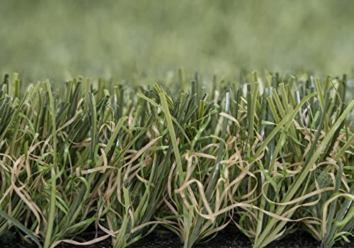 Kunstrasen Rasenteppich Komodo für Garten - Florhöhe 35 mm - Gewicht ca. 2736 g/m² - UV-Garantie 12 Jahre (DIN 53387) | Rollrasen | Kunststoffrasen 4 x 1