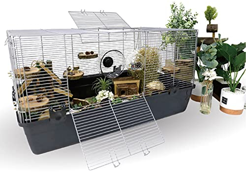 Hamsterburar och livsmiljöer - Stor hamsterbur Gerbil Haven Habitat smådjursbur, råttbur för hamster, gerbiler (svart 33.0)
