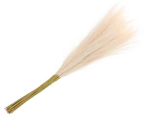 sourcing map 20Pcs Faux Pampas Grass,21/55cm Fake Pampas Grass Decor for Living Room Party Wall Vase Wedding Decoration,Light Beige