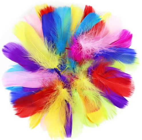Qxsuse 500 Stück Bunte Federn, Natürliche Feder Deko,6~12cm Bunte Natürliche Feder Naturfedern für DIY,for Dream Catchers, Crafts, Earrings, Headdress, Suitable for Wedding, School Crafts