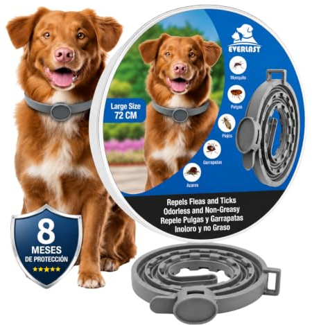 Collare Antiparassitario per Cani - 8 Mesi di Protezione contro Pulci, Zecche, Zanzare e Acari - 65 cm Regolabile, Efficace e Sicuro 100% Naturali (1, GRIGIO RINFORZATO, 72CM)