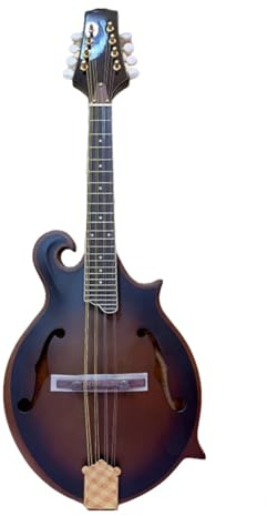 Standard Mandolin F style eight string professional instrument Professional Mandolin Instruments