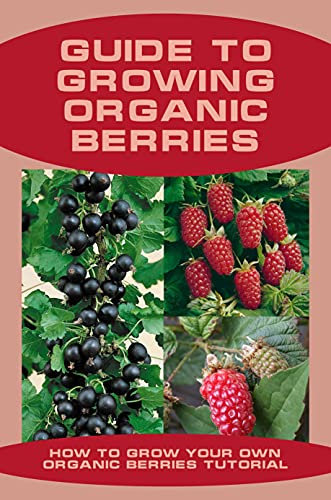 Guide To Growing Organic Berries: How To Grow Your Own Organic Berries Tutorial: Basic Information On Berry Gardening