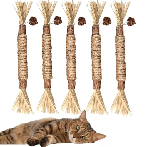 LauCentral Set di 5 bastoncini da masticare per gatti in legno naturale – giocattoli con erba da gatto, gioco interattivo per interni e pulizia dentale