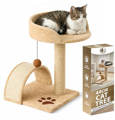 Rex & Roxy Cat Tree 44CM | Cat Scratch Post | Scratching Posts for Indoor Cats | Kitten Scratcher Post | Stable Climbing Tower With Scratching Bridge, Cosy Bed & Post for Playing (Beige)