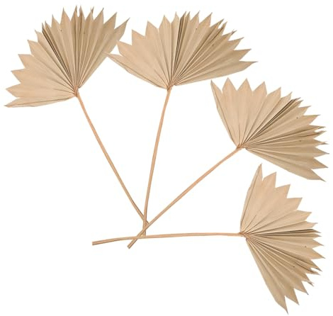 MOTHNUR 4 Piezas Hojas de Palma Secas para Decoración de Pared Boho, Abanicos Tropicales Naturales, Adorno Colgante para Fiesta y Boda, Decoración Hogar y Oficina Estilo Nórdico