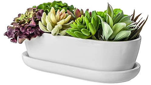 botle keramisk blomkruka blomskål kaktusskål underlägg vattenhål kaktusar bonsai suckulenter (oval, vit)