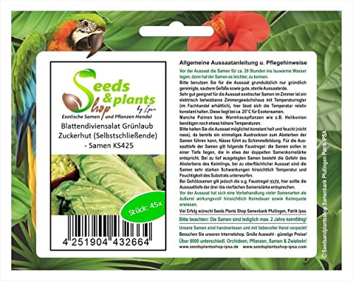 Stk - 45x Blattendiviensalat Grünlaub Zuckerhut (Selbstschließende) - Samen KS425 - Seeds & Plants Shop by Ipsa