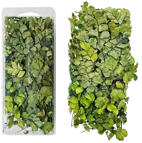 Woohome Miniature Root Vine Vegetation Train Root Model Scene Plant Stems for DIY Mini Model Military Scene Railway Fairy Garden Diorama Scenery Landscape (Style 3)