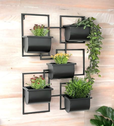 DanDiBo Kräuterregal Küche Wand Metall Schwarz 96525 Wandregal Blumenregal Pflanzenhalter Wandblumenhalter Modern
