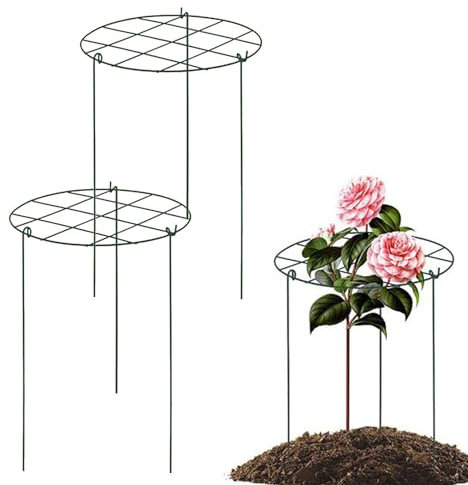 Traliccio Per Piante Da Interno Supporti Fiori Vite Rampicanti