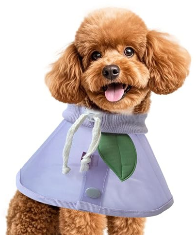 Collare a Cono Protettivo per Cani Protezione Collo Antigraffio | Collare Cono Gatto Rete Traspirante Per Esterni, Viaggi, Passeggiate, Taglie Piccole, Medie, Grandi, Cuccioli, E Animali