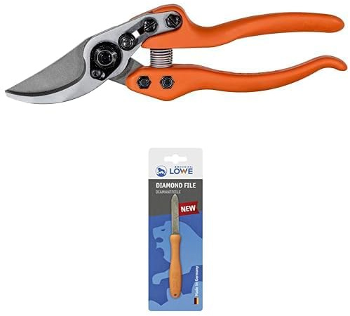Original LÖWE Set bestehend aus Profi Bypass Gartenschere 11.104 für präzise Schnitte an Blumen, Zweigen oder Obstbäumen & Diamantfeile 0023 für Scheren, Äxte und Werkzeuge