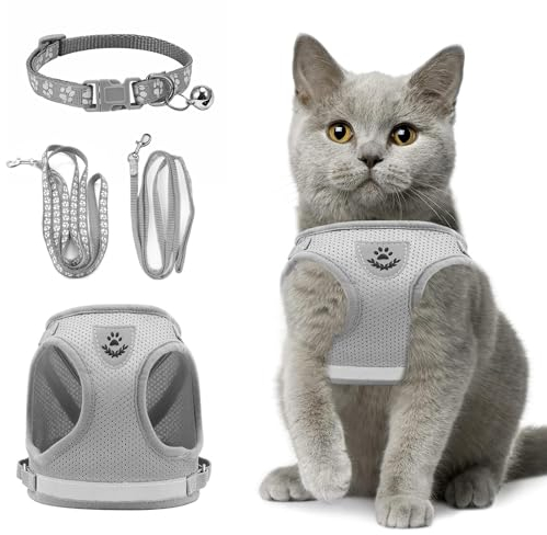 Verstellbares Katzengeschirr Ausbruchsicher, Verstellbares Katzen Geschirr Mit Leine, Weichem Innenfutter Und Atmungsaktivem Mesh, Reflektierend Geschirr Set Für Outdoor Training Gehen, S (Grau)
