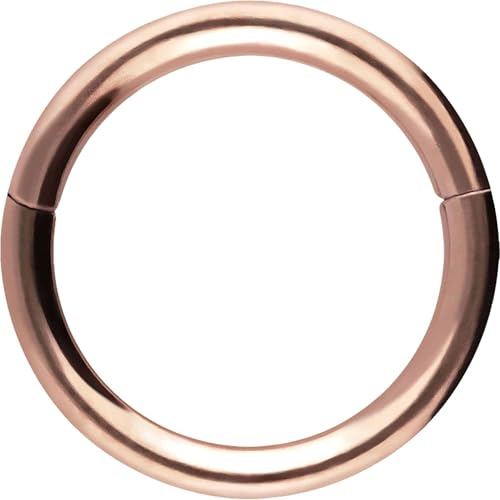 PIERCINGLINE Segmentring Clicker aus Chirurgenstahl - Piercing Ring in Gold, Silber, Rose, Schwarz oder Blau - für Nase, Septum, Ohr, Helix oder Tragus