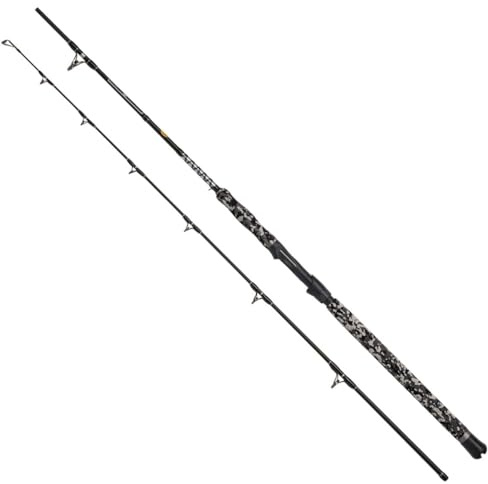 WFT Big Cat Spin Cat 2,70m, 20-190g