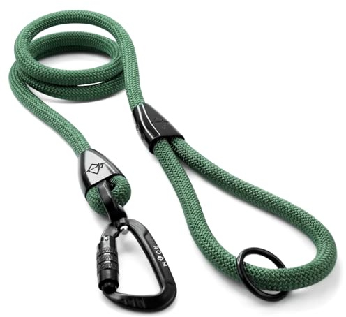 MADE TO ROAM Premium Explorer Leash - Climbing Rope Leash with Autolocking Aviation Aluminum Carabiner - Oregon Haze, 6ft