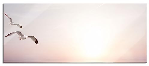 Pixxprint Glasbild Panorama, Wandbild aus Echtglas, Möwen am Meer bei Sonnenaufgang, 120x50 cm, inkl. Aufhängung und Abstandshalter