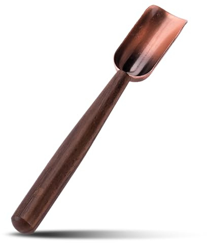 BESTonZON Cucharas para Té de Té Portátil Mango de Ébano Accesorio para Condimentos Especias Azúcar Leche Fácil de Limpiar