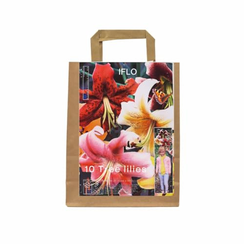IFLO® Baumlilien Mix Lilienzwiebeln winterhart mehrjährig duftende Riesenlilien für Garten & Balkon Blumenzwiebeln Geschenkset 10 Stück
