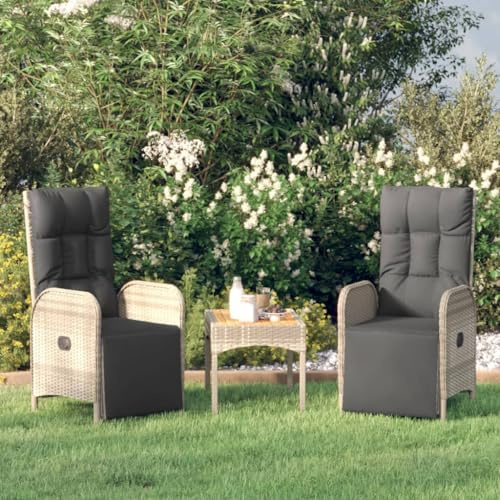 Frdhee Hinterhofsstühle Outdoorstuhl, Garten-Relaxsessel mit Kissen 2 STK. Poly Rattan Grau, ideal für Garten und Balkon