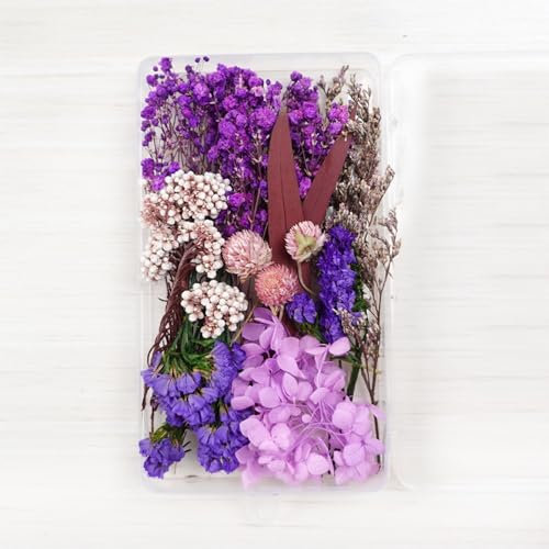 Anevous Getrocknete Blumen, Trockenblumen zum Basteln, Getrocknete Blumen, DIY Getrocknet Blumen Set, Gemischte Getrocknete Blätter für Kunst Basteln Handwerk Scrapbooking Dekoration,Lila